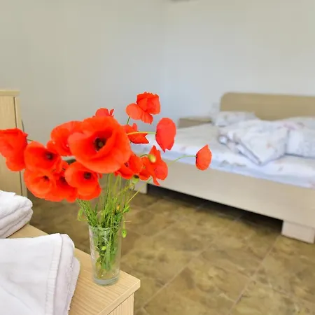 Casa Ryn Homestay *